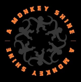 Κιθαρίστας για τους A Monkey Shine