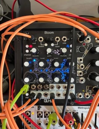 Qu-Bit Bloom V2