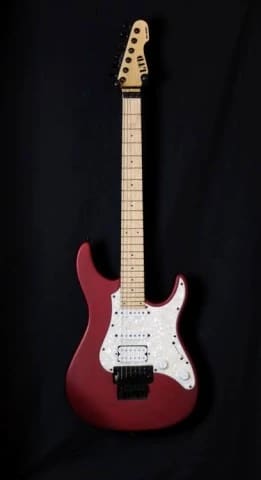 esp ltd sn200 fr 