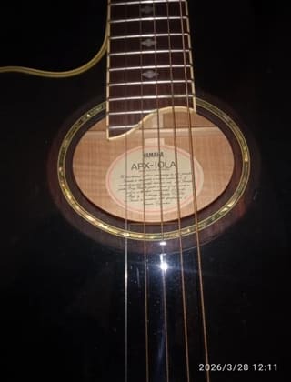 Yamaha APX 10 LA