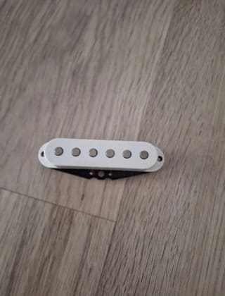 Squier