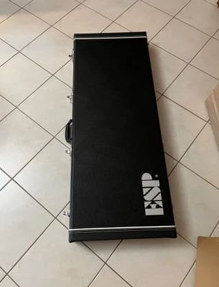 ESP LTD Hardcase