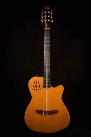 Godin multiac slim (Ανταλλαγή )