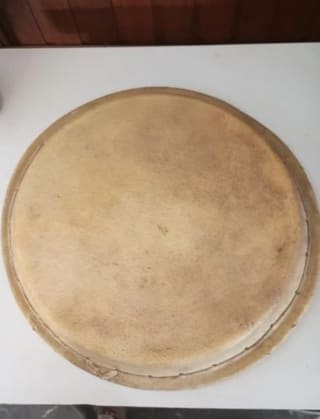 Conga head 11