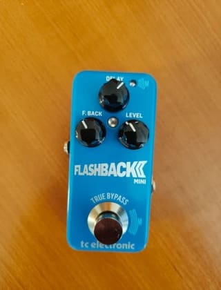 TC Electronic Flashback Mini 2