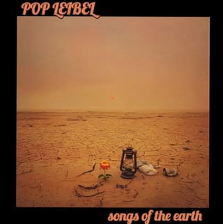 modern rock band POP LEIBEL looking for BASS player