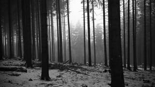 Δημιουργία Post-Punk / Cold Wave μπάντας