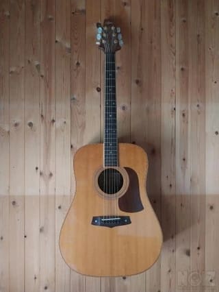 Rare Acoustic Aria SW-40 Japan