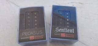 Seymour Duncan Pegasus & Sentient Set - 6 Strings / Trembucker & Humbuck