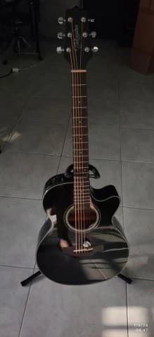 Takamine gd30