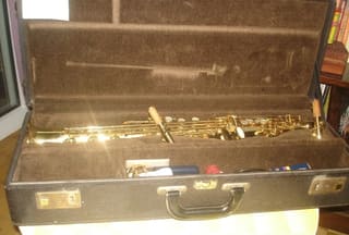 Yanagisawa Elimona
