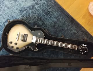Gibson Les Paul Adam Jones Signature