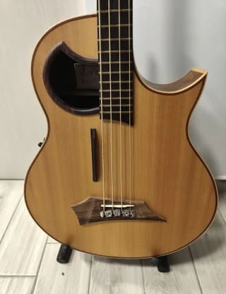 Warwick Alien