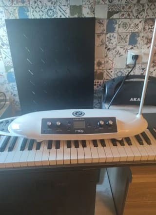 Moog Moog Theremini