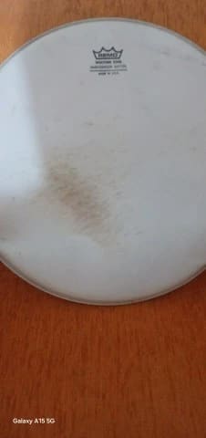 Remo Ambassador Batter 13"
