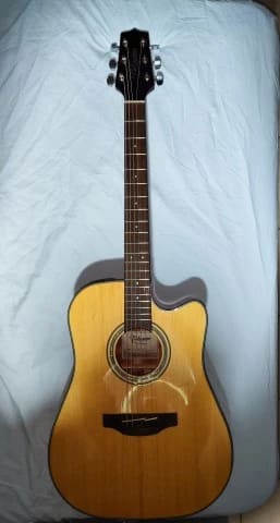 Takamine G Series
