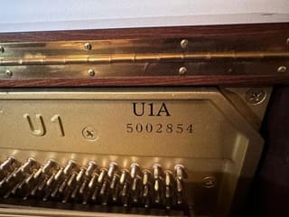 Yamaha U1