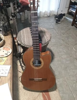 Washburn C5 CE