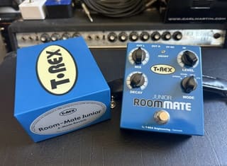 T-Rex Room-Mate