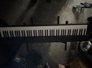Yamaha P225