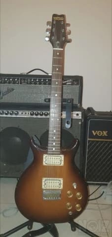 Washburn Raven 1979