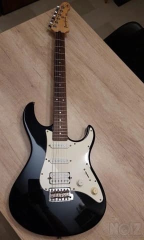Pacifica Yamaha / Ritter Θήκη / Line 6 ε
