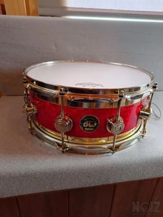 DW snare edge USA