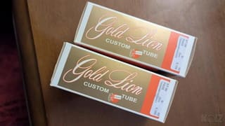 Gold Lion KT66 matched pair NEW
