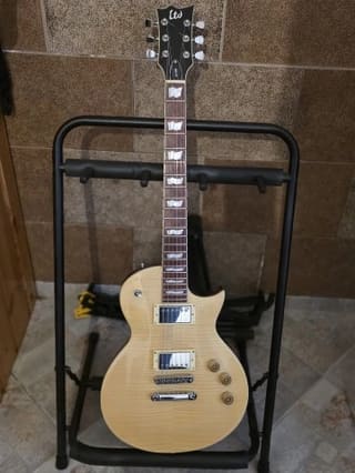 ESP LTD EC-256 FM / Gator Case