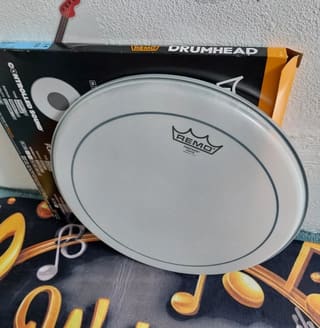 Remo Pinstripe Coated 14"