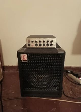 Eden WTX264 + eden ec10