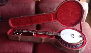 Fender 5-string Banjo
