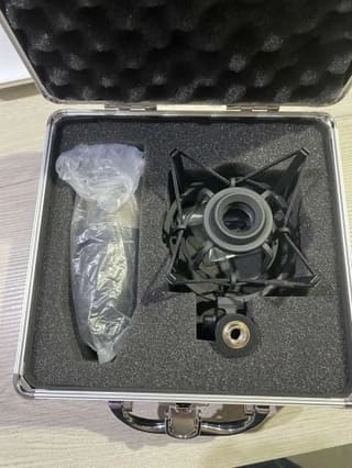 AKG P220
