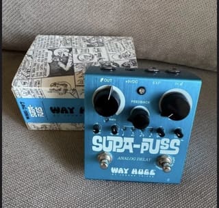Way Huge Supa Puss analog delay