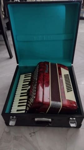 Accordion parrot