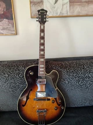 Ibanez FG100