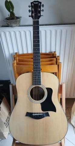 Taylor 110