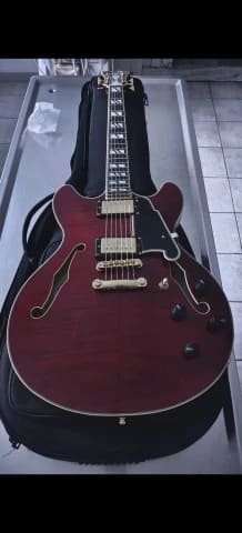 D'Angelico Excel DC
