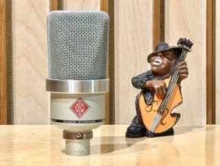 NEUMANN TLM102 + Shock Mount
