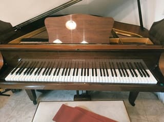 Hupfeld Stutzflügel 140