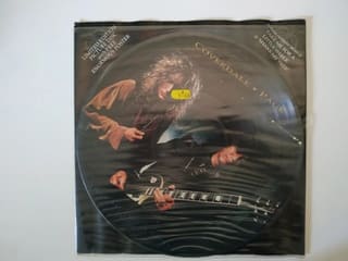 Coverdale/Page Shake My Tree