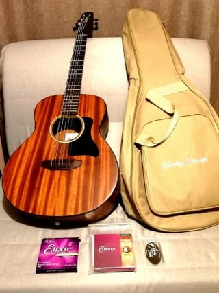 Harley Benton GS-Travel-E Mahogany