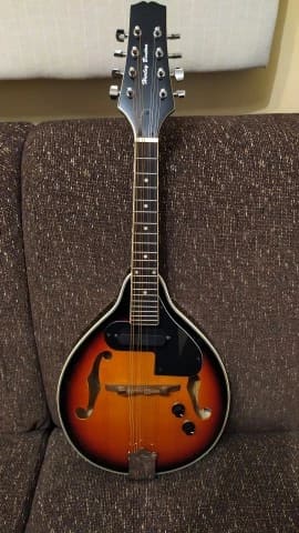 Harley Benton HBMA-50E