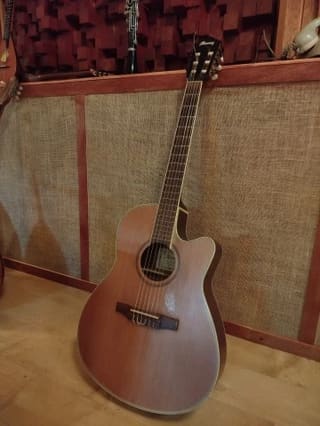 Ibanez AEF20