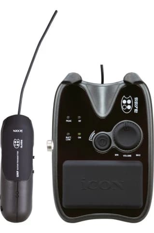 Icon Beetle