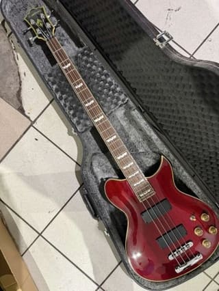 Washburn WB-66 Idol Series