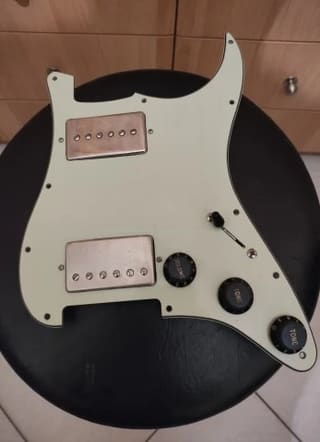 Full Loaded Pickguard HH