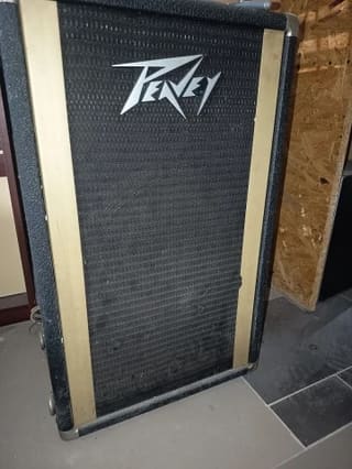 Peavey Model 112 PT (Ζευγάρι) - 8 Ohms