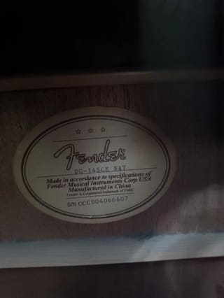 Fender DG14SCE