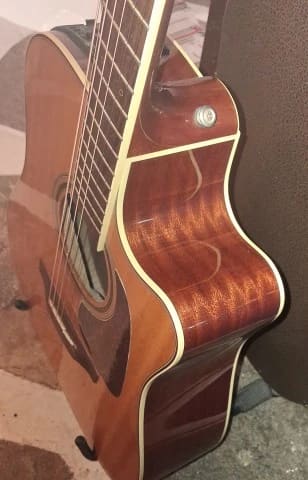 Takamine P4DC